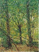 Vincent Van Gogh Trees and Undergrowth oil